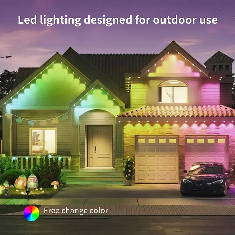 Festival Decoration Lighting DC36V Outdoor Waterproof RGB LED Pixel Light Strip